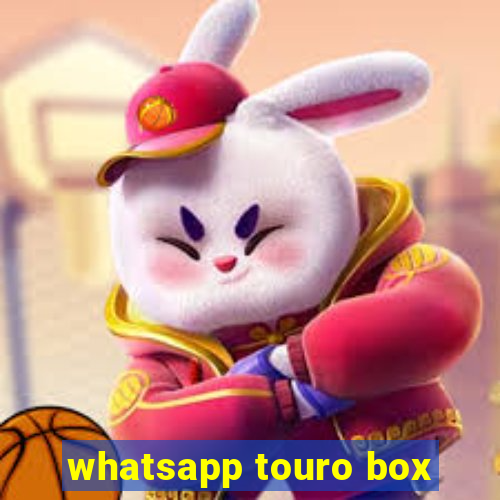 whatsapp touro box